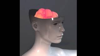 Brodie - I Already Know (Official Video Lyrics)