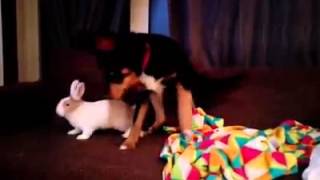 12869806 1569139090069778 1701518091 n