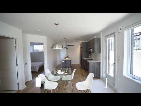 Vidéo Immobilière Montréal - Petite Italie - Condo Penthouse