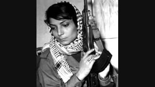 The Teardrop Explodes "Like Leila Khaled Said"