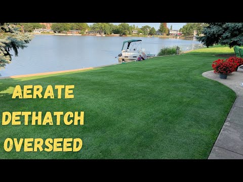 YouTube video about: Can you dethatch and aerate at the same time?