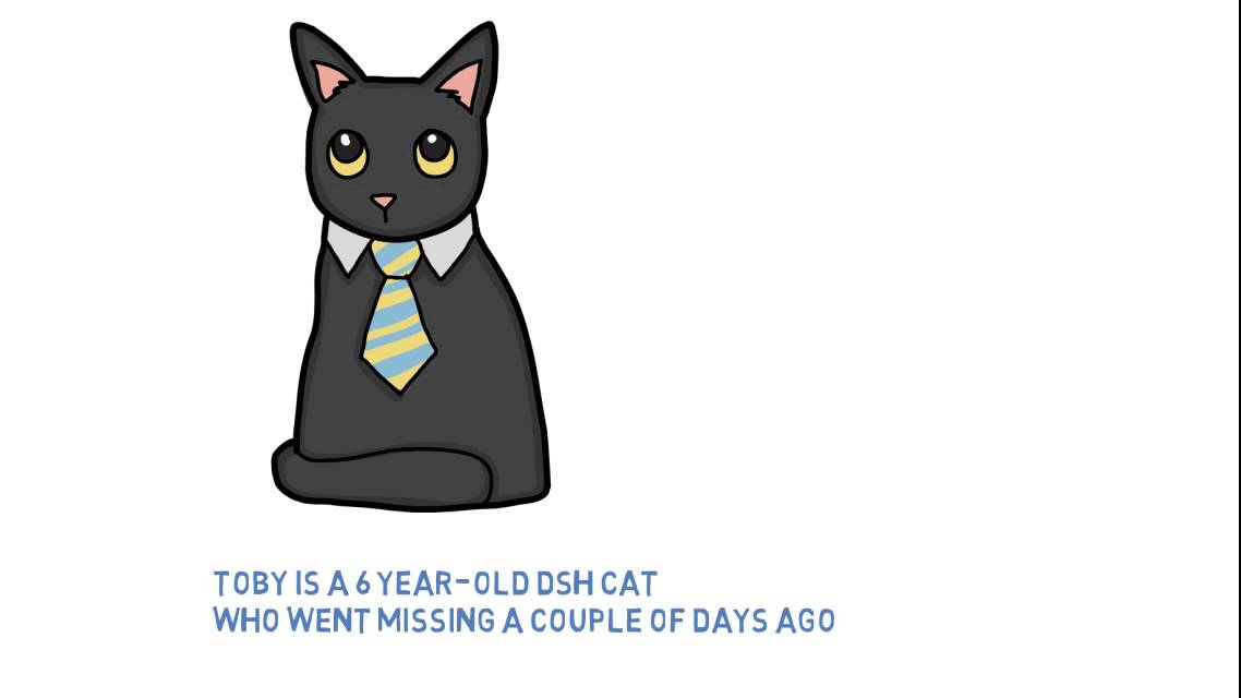 Diagnostic Radiology Case Study