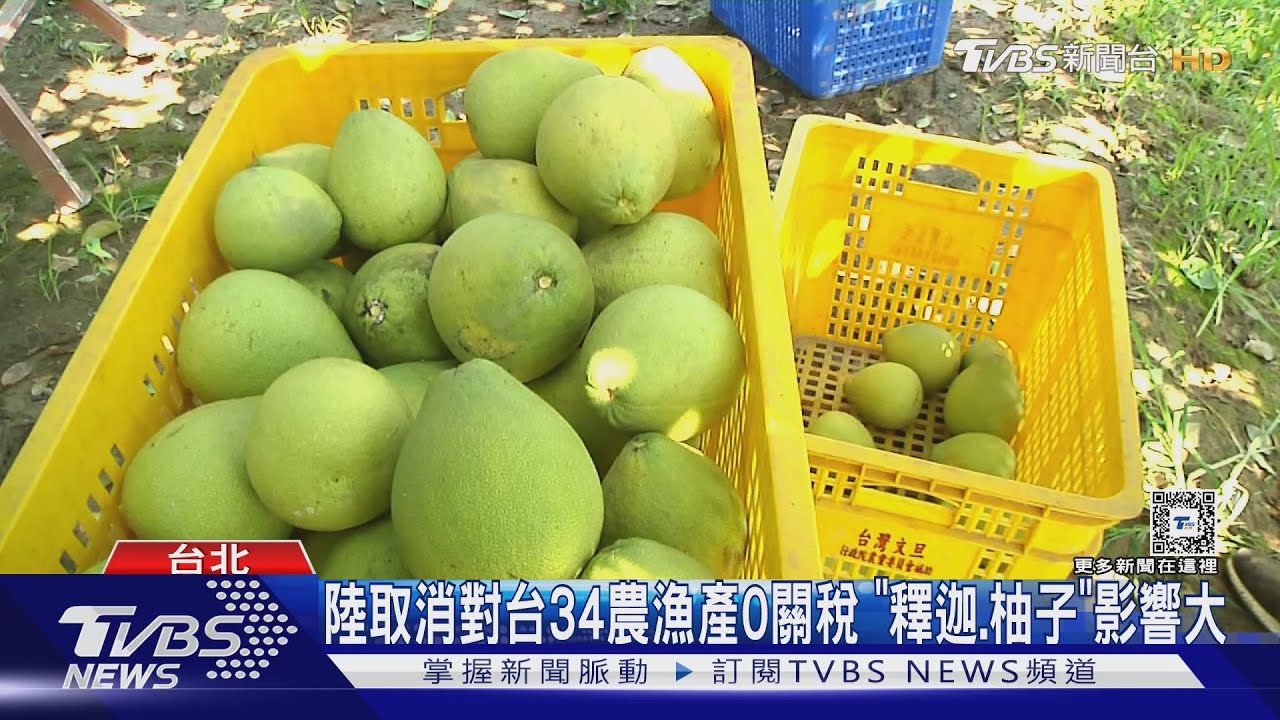 陸取消對台34農漁產0關稅 「釋迦、柚子」影響大