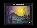 Coyote Oldman - Night Forest