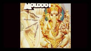 MOLODOÏ : ELEPHANT REGGAE
