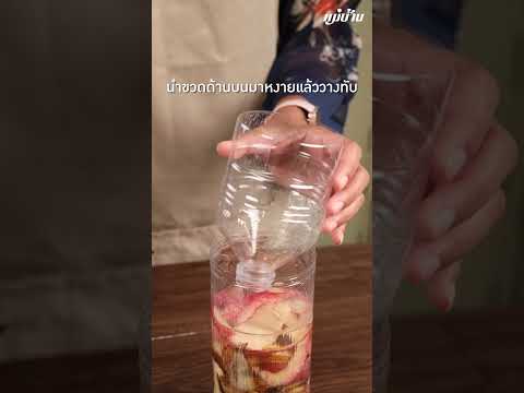 กำจัดแมลงหวี่ ง่ายนิดเดียว 🪰👍✨ กับ แม่บ้าน - Maeban