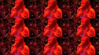 Hawkwind Live @ Tilburg Holland 2006 - The Band From Outer Space