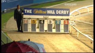 Greyhound Racing - Derby Final 2010 gameplay video by SMatheson, 2:58 duration