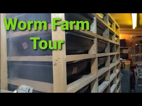 Worm Farm Tour
