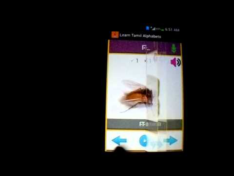 Learn Tamil Alphabets Video