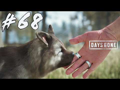 DAYS GONE Walkthrough - Have It Your Way | Part-68 | Full Game Walkthrough