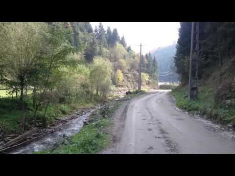 rucar cabana valea haiducilor