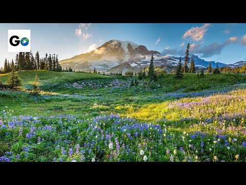 Visit Every Single American National Park!