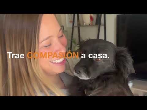 Best Friends Animal Society y Alex Warren están ayudando a Traer Amor A Casa