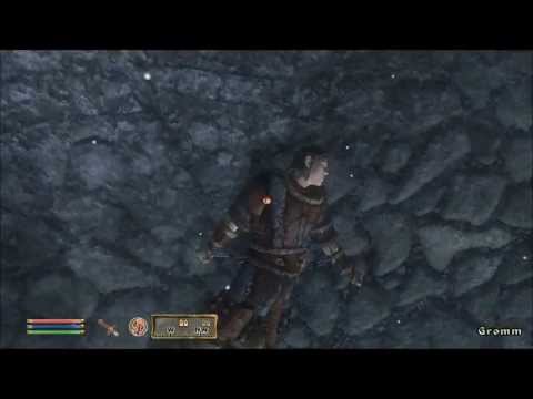 Racist attack on Nord by Cyrodiilic guards