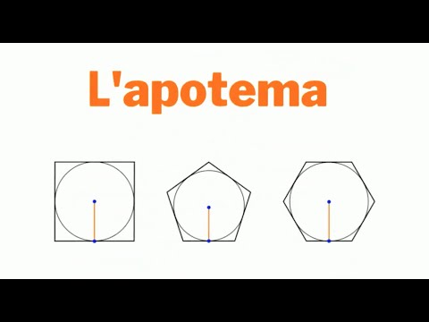 L'apotema