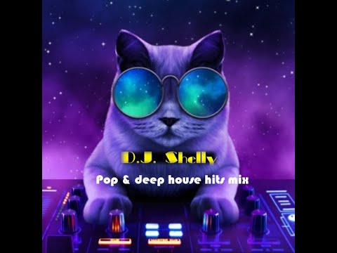 Pop & Deep House Hits Mix - DJ Shelly