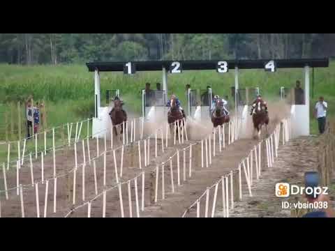 Corridas de cavalos.(grande turfe)