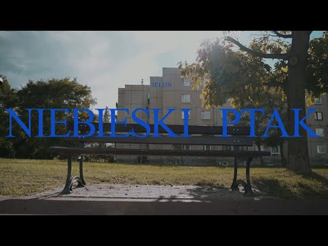 Jelon - NIEBIESKI PTAK