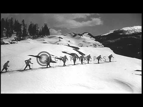 Men skiing to demonstrate the basic movement of schuss in the United States. HD Stock Footage