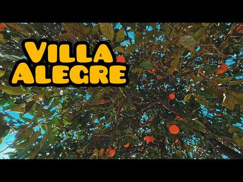 Entre memorias y leyendas: Villa alegre y sus grandes personajes.