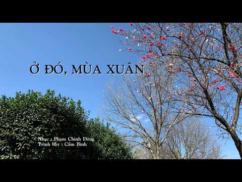 Ở đó, mùa xuân Sheet - Cẩm Bình