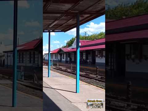 Brandsen, una rica historia ferroviaria #trenesargentinos #canalmarcelogreco #linearoca #mardelplata