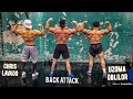 BACK ATTACK W/ UZOMA OBILOR & CHRIS LAVADO