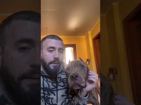 E STANCO MA NON MOLLA ❤️