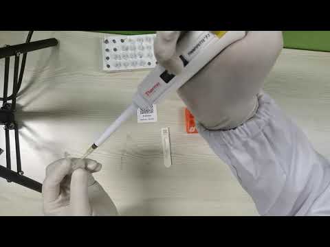 Guidance video of D-Dimer  Test with LS-1100