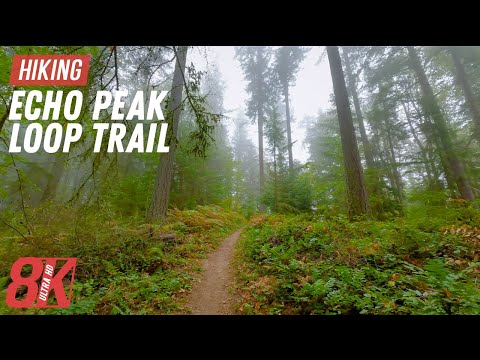 Virtual Forest Walk - 8K Echo Peak Loop Trail Hike - Stunning Scenery for Indoor Activity