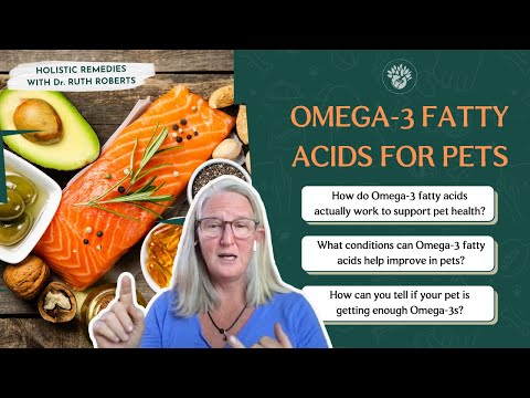 The Benefits of Omega 3 Fatty Acids in Pets | Dr. Ruth Roberts