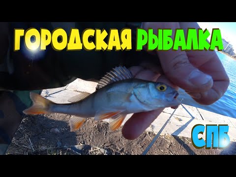 РЫБАЛКА В ЧЕРТЕ ГОРОДА СПБ 2020, КАНОНЕРСКИЙ ОСТРОВ, ДУДЕРГОФСКИЙ КАНАЛ, РАЗВЕДКА, ОКУНЬ НА ПОПЛАВОК