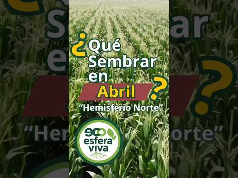 Northern Hemisphere: April Planting Guide for Permaculture