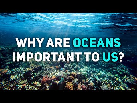 World Ocean Day | Why oceans are important to us? |Ocean Life| Impact of Oceans #TeamSeas #temaseas