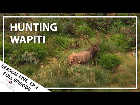 Hunting Aotearoa Series 5 EP02 Searching for Wapiti