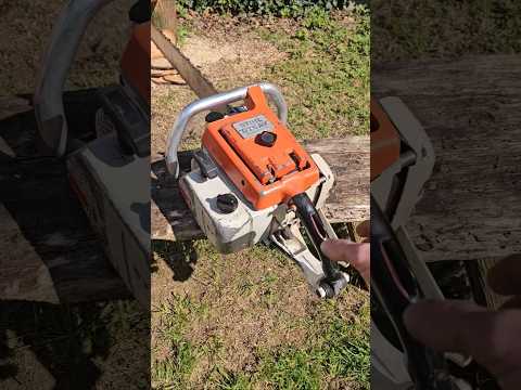 Biggest vs Smallest - Stihl Chainsaw Collection #vintage