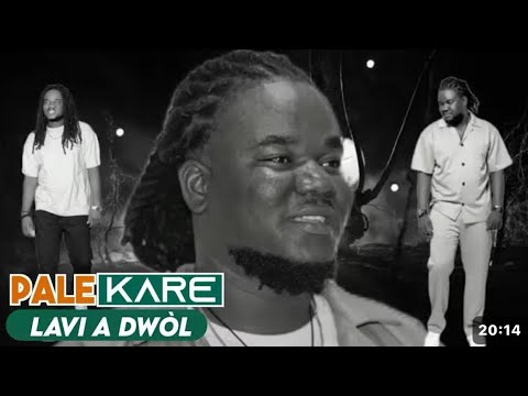 NOU POTE PLIS ESKPLIKASYON SOU LANMO ZANZAN BAW ADIEU ZANZAN MALADI SA FEW MAL