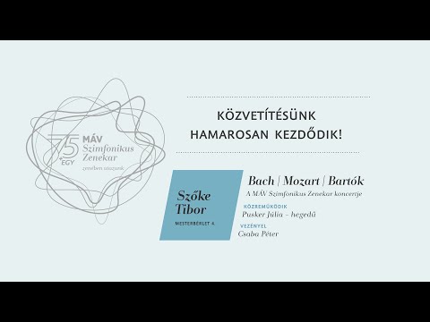 A MÁV Szimfonikus Zenekar koncertje Pusker Júliával és Csaba Péterrel – 2021. május 13., BMC