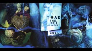 Toad the Wet Sprocket - "Throw it all away"