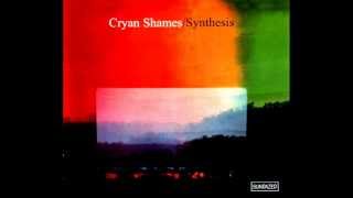 The Cryan' Shames - Synthesis (Full Stereo Album) (1969)