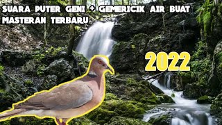 Download lagu Suara Masteran Puter Geni Terbaru 2022!! Durasi 1 Jam mp3 Download lagu Suara Masteran Puter Geni Terbaru 2022!! Durasi 1 Jam mp3