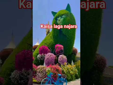 flower garden beautiful views #beautiful view #shaivya #gardening