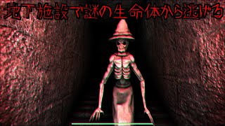 ウイルスに感染したバケモノに追われるホラーゲームが怖い…【TEST RE】【ホラーゲーム 】
