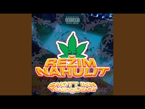 REŽIM NAHULIT