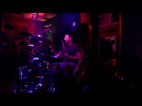 Savannah Expression - Birdsong (live)