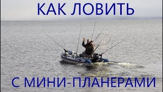 Что ловят на даунриггер