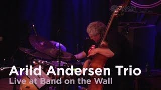Arild Andersen live at Band on the Wall