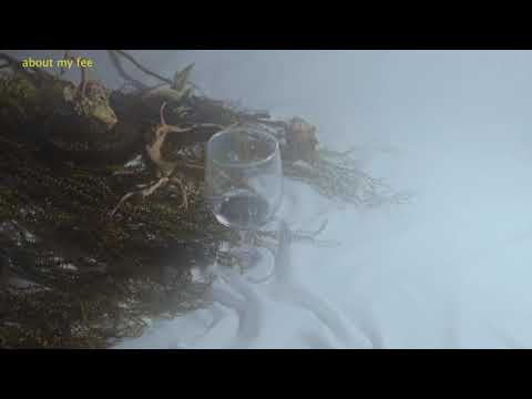 Kevin Hugo  - Unpleased (Official Lyric Video)