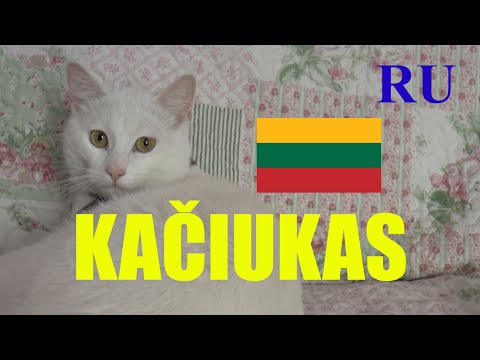ЛИТОВСКИЙ ЯЗЫК - 85 -  KAČIUKAS